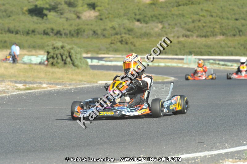 DSC (4136).JPG
